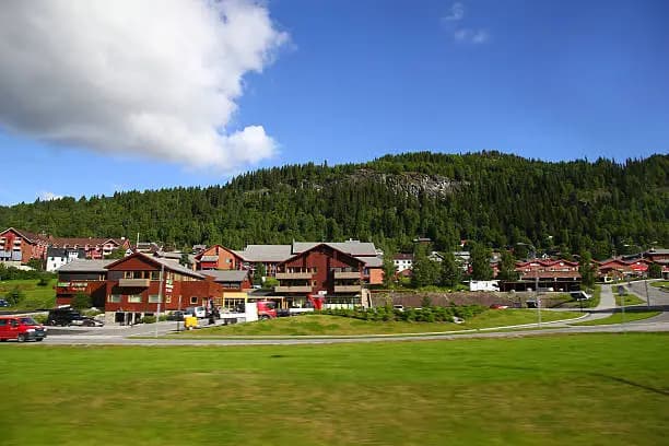 Geilo (or AI)
