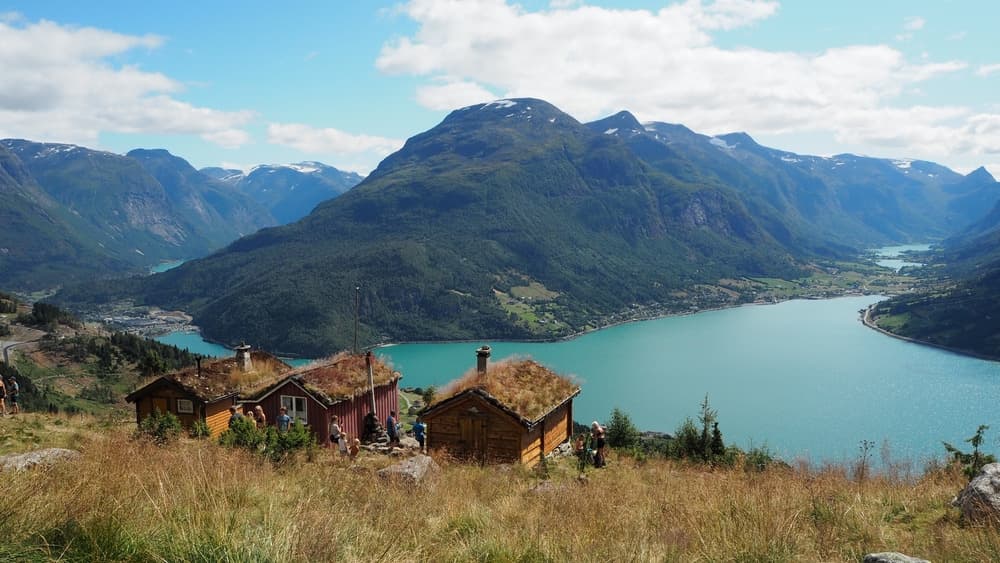 loen shutterstock 2288764647